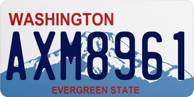 WA license plate AXM8961
