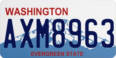 WA license plate AXM8963