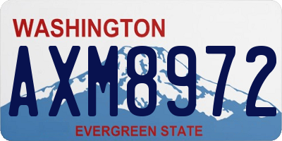 WA license plate AXM8972