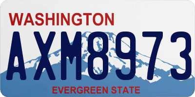 WA license plate AXM8973