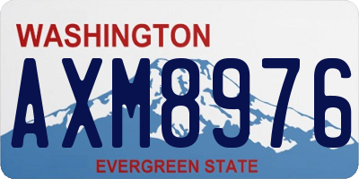 WA license plate AXM8976