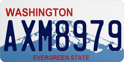 WA license plate AXM8979