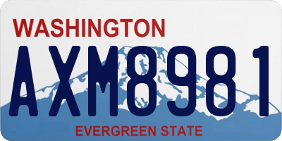 WA license plate AXM8981