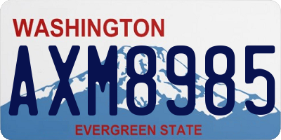 WA license plate AXM8985