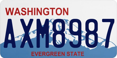 WA license plate AXM8987