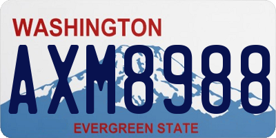 WA license plate AXM8988