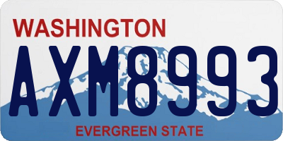 WA license plate AXM8993