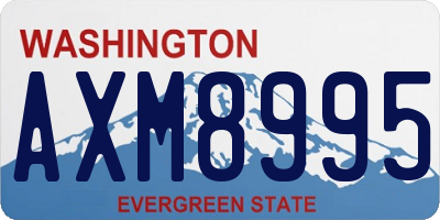 WA license plate AXM8995