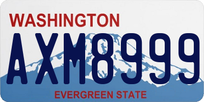 WA license plate AXM8999
