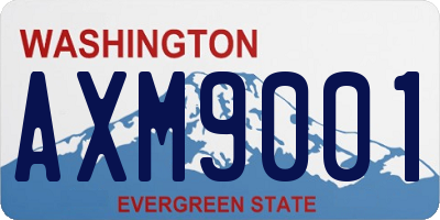 WA license plate AXM9001