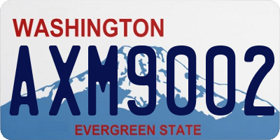 WA license plate AXM9002