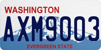 WA license plate AXM9003