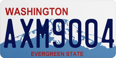 WA license plate AXM9004