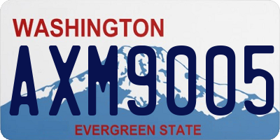 WA license plate AXM9005