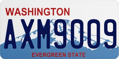 WA license plate AXM9009