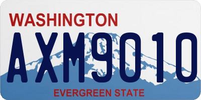 WA license plate AXM9010