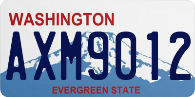 WA license plate AXM9012