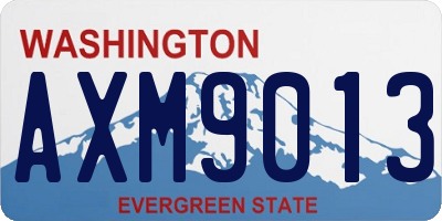 WA license plate AXM9013