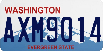 WA license plate AXM9014