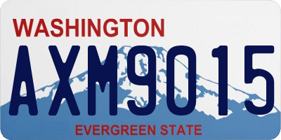WA license plate AXM9015