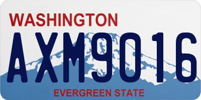 WA license plate AXM9016