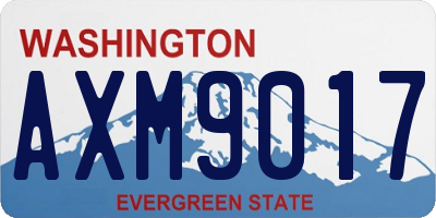 WA license plate AXM9017