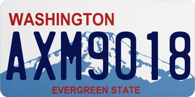 WA license plate AXM9018