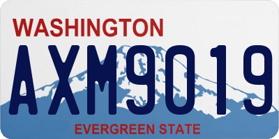 WA license plate AXM9019