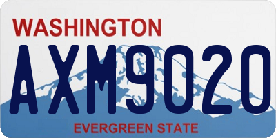 WA license plate AXM9020