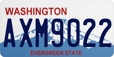 WA license plate AXM9022