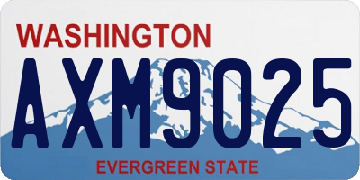 WA license plate AXM9025