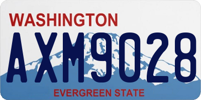 WA license plate AXM9028
