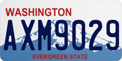 WA license plate AXM9029