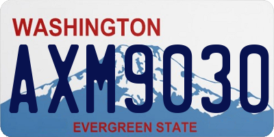 WA license plate AXM9030