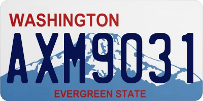 WA license plate AXM9031