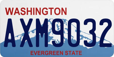 WA license plate AXM9032