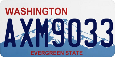 WA license plate AXM9033
