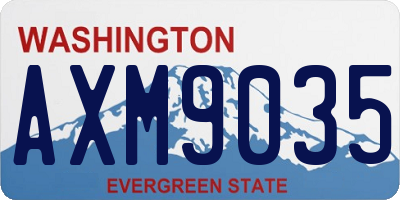 WA license plate AXM9035