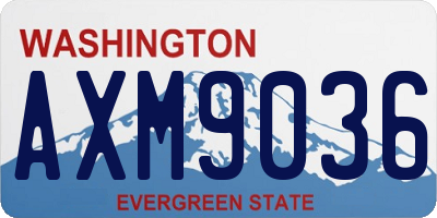 WA license plate AXM9036