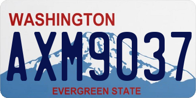 WA license plate AXM9037