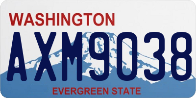 WA license plate AXM9038