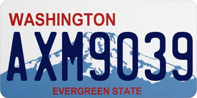 WA license plate AXM9039