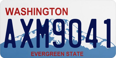WA license plate AXM9041