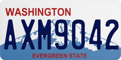 WA license plate AXM9042