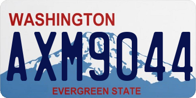 WA license plate AXM9044