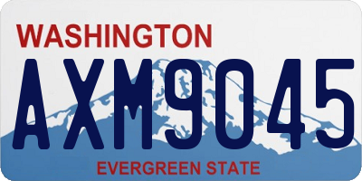 WA license plate AXM9045