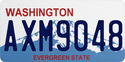 WA license plate AXM9048