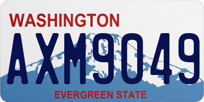 WA license plate AXM9049