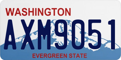 WA license plate AXM9051