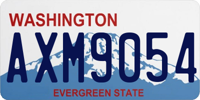 WA license plate AXM9054